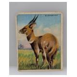 1910 Hassan Bushbuck WRONGBACK VAR Corner/Stain