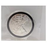 2012 1oz .999 Silv Eagle $1 Dollar