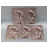 (5)Marty Marion 1939-1946 Salutation Exhib. Damage