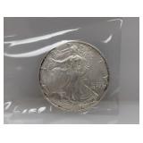 2007 1oz .999 Silv Eagle $1 Dollar