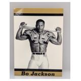 1989 Bo Jackson Promo Baseball Bo Jackson Stain/MK