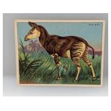 1909 Hassan Cigarettes Okapi 54 Corners/Stain