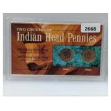 Two Centuries of Indian Head Pennies