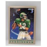 1991 Fleer Pro Visions #7 Randall Cunningham Stain