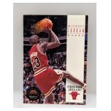 1993-94 Skybox Premium #45 Michael Jordan