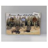 American Bison Nickel Collection