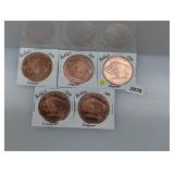 (5) .999 Copper Buffalo Rounds