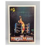 1990 Classic Wrestling Hulk Hogan HOF 26 Surface