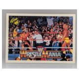 1990 Classic Wrestling Hulk Hogan HOF 103 Stain