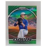 2025ï¿½Leafï¿½Baseballï¿½Nationï¿½Liamï¿½Petersonï¿½1/1ï¿½Proof