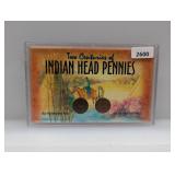 Two Centuries of Indian Head Pennies