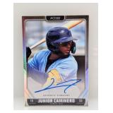 2024 Pulse Baseball Junior Caminero Auto A-JCA