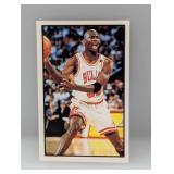 Michael Jordan 1992-93 Panini Sticker #12