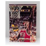 1993-94 Topps SC International Michael Jordan #181