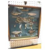 NICE WOOD FRAME FISHING SHADOW BOX 15X15