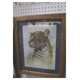 NICE FRAMED TIGER PRINT 19X23