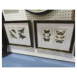 PAIR FRAMED BUTTERFLY PRINTS