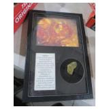 AMBER FOSSIL RESIN W/CASE