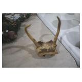 ANTLERS