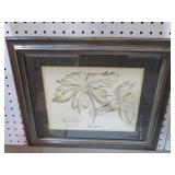 FRAMED MAY APPLE LEAF PRINT