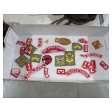 (31) VINTAGE BOY SCOUTS PATCHES