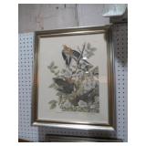 FRAMED JOHN JAMES ARTIST  CAROLINA DOVE PRINT