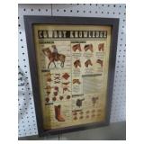 FRAMED COWBOY KNOWLEDGE