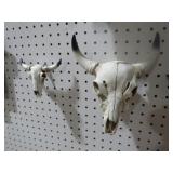 (2) COW SKULLS WITH HORNS