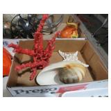 CORAL, SHELL & STARFISH DECOR
