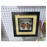 UNIQUE SHADOWBOX FRAMED MOUNTED BUTTERFLY