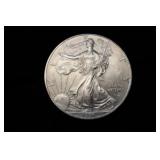 1996 1 OZ .999 SILVER EAGLE