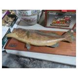 29IN 18LB VINTAGE SEA BASS TAXIDERMY