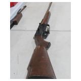 DAISY BB GUN