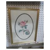 FRAMED ROSE PRINT