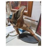 NICE PIECE OF DRIFTWOOD MOUNTED ON BOARD