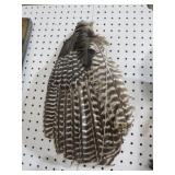 LRG HAWK FEATHERS