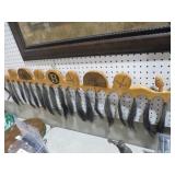 COLLECTION OF TURKEY MOUNTED BEARDS