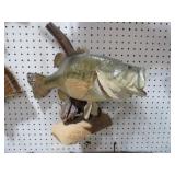 SM MOUTH BASS MOUNTED ON DRIFT WOOD