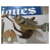LRG MOUTH BASS MOUNTED ON DRIFTWOOD