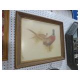 FRAMED RING NECK PHEASENT PRINT