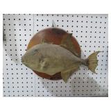 MOUNTED TRIGGER FISH ON BOARD TAXIDERMY