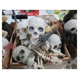 BOX OF SKULLS AND BONES