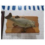 FISH MOUNTED ON PLAQUE