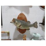 FISH MOUNTED ON OVAL WALL PLAQUE