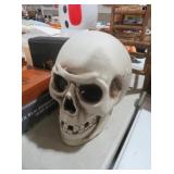 DECORATIVE HUMAN SKULL PROP