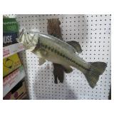MOUNTED FISH TAXIDERMY