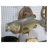 MOUNTED LRG MOUTH BASS