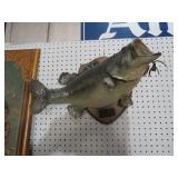 MOUNTED LRG MOUTH BASS