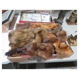 COLL. ANIMAL STOLES