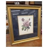 Rose Belle Veronique Floral Botanical Picture in